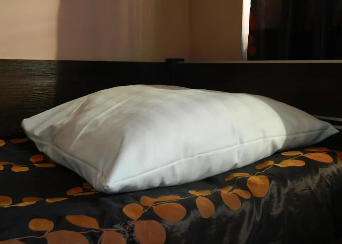 Integro Проживание в семье